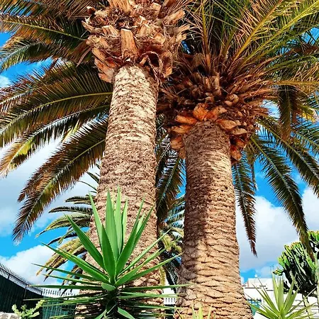 Llamar * Puerto del Carmen (Lanzarote)