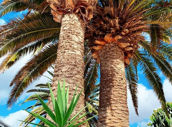 Llamar * Puerto del Carmen (Lanzarote)